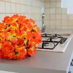 Gli Alfieri A Posto Vecchio