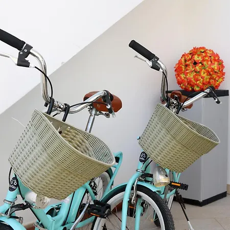 Gli Alfieri A Posto Vecchio Affittacamere