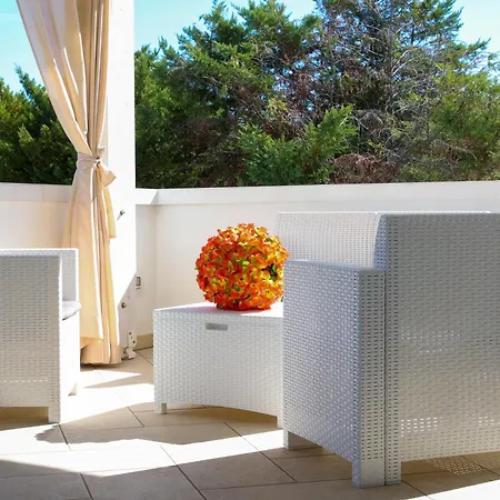 Gli Alfieri A Posto Vecchio Affittacamere