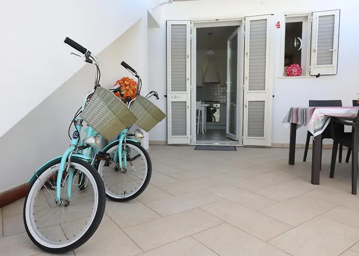 Gli Alfieri A Posto Vecchio