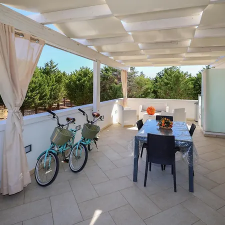 Gli Alfieri A Posto Vecchio