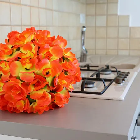 Gli Alfieri A Posto Vecchio