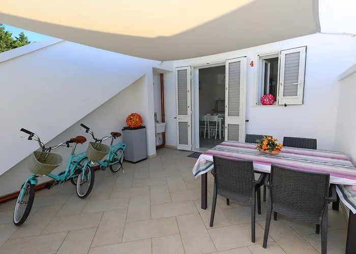 Gli Alfieri A Posto Vecchio